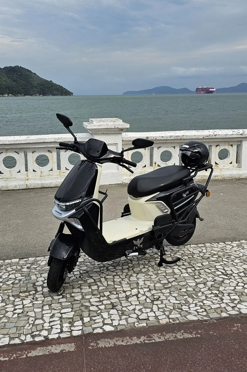Scooter elétrica ÉVEE Iron D01